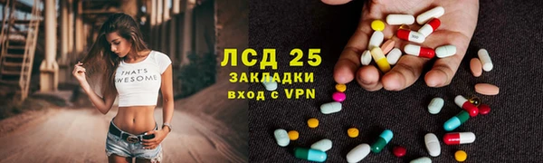 PSILOCYBIN Алзамай
