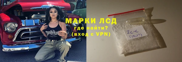 PSILOCYBIN Алзамай