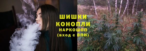 PSILOCYBIN Алзамай
